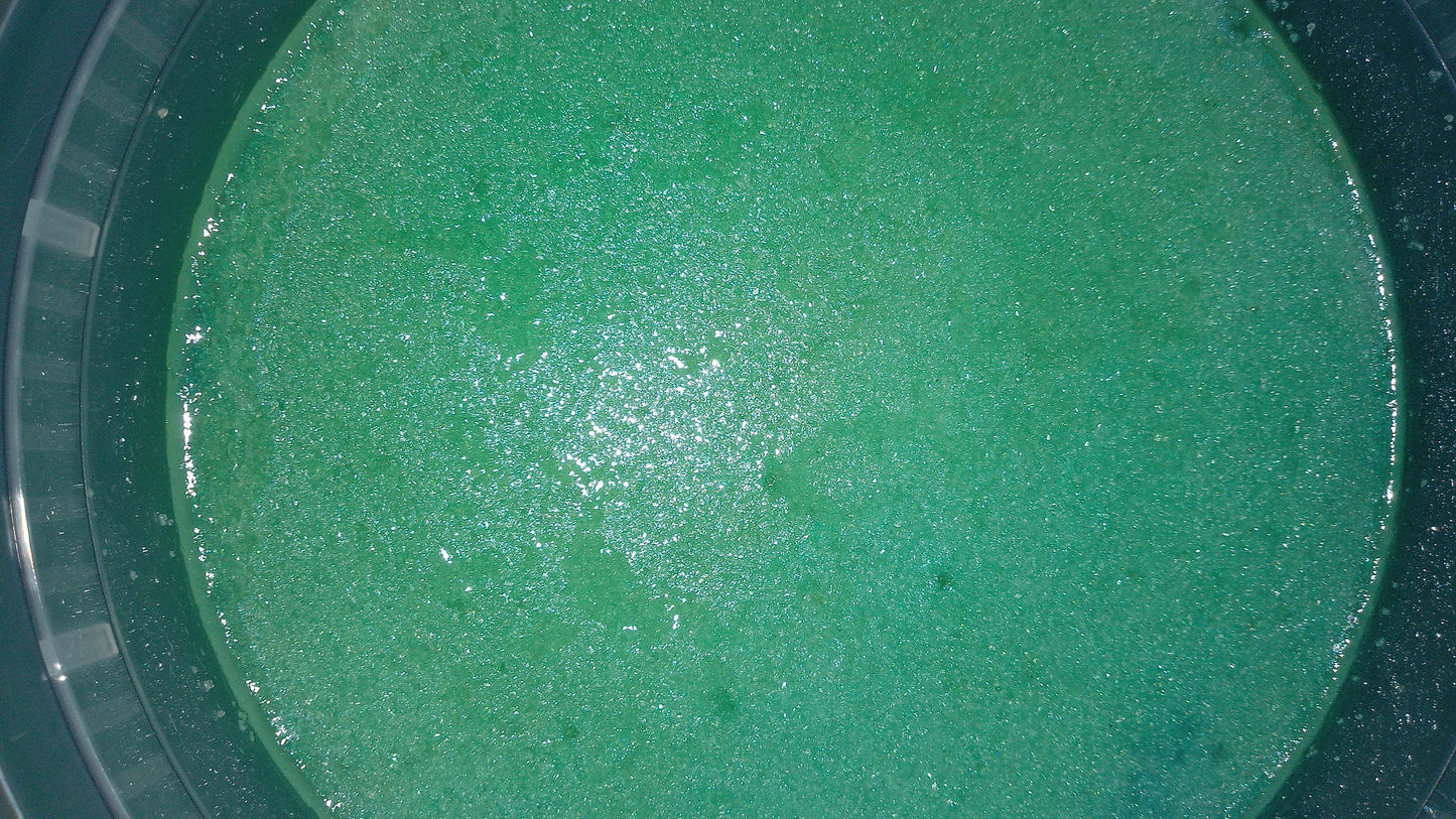 Agave Sugar Scrub
